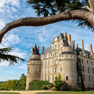 Château de Brissac