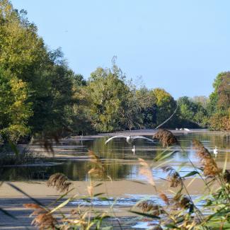 Photo sur les sentiers de Biodiversité en Anjou Vert