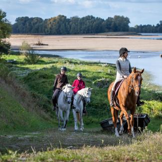Balade cheval en bor de Loire