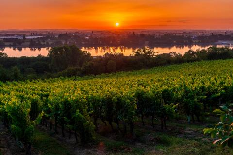 Coucher de soleil au Thoureil