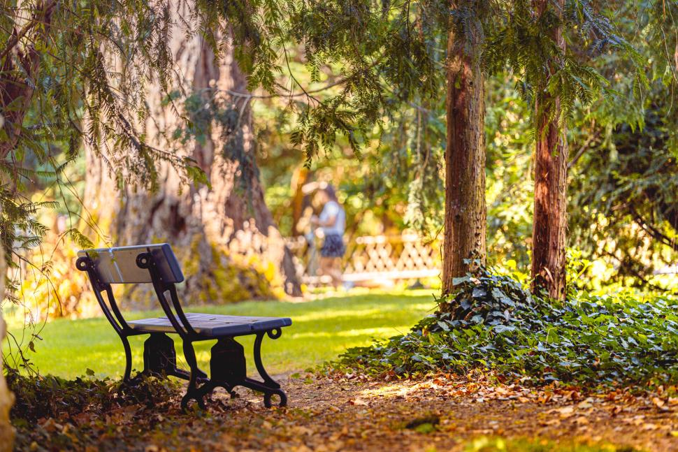 Banc dans les allées de l'Arboretum Gaston Allard