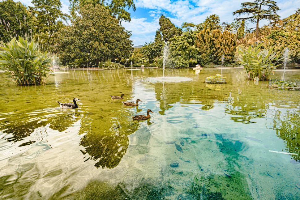 Vue sur le bassin du jardin des Plantes
