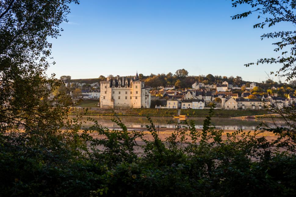 Vue sur le château de Montsoreau depuis l'autre rive de la Loire