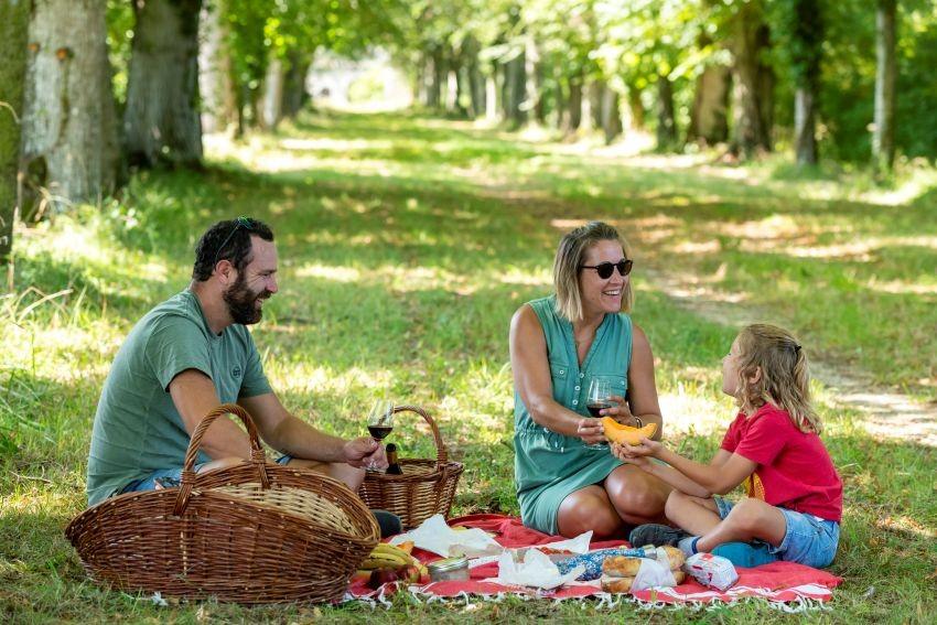 une famille en pique nique