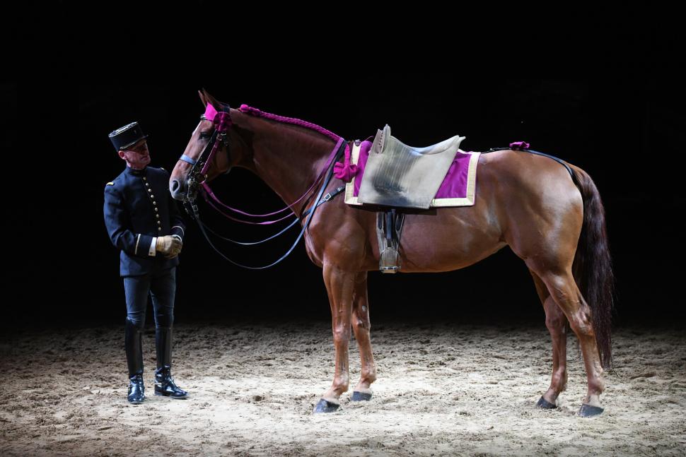 Un cavalier du cadre noir de Saumur aupèrs de son cheval