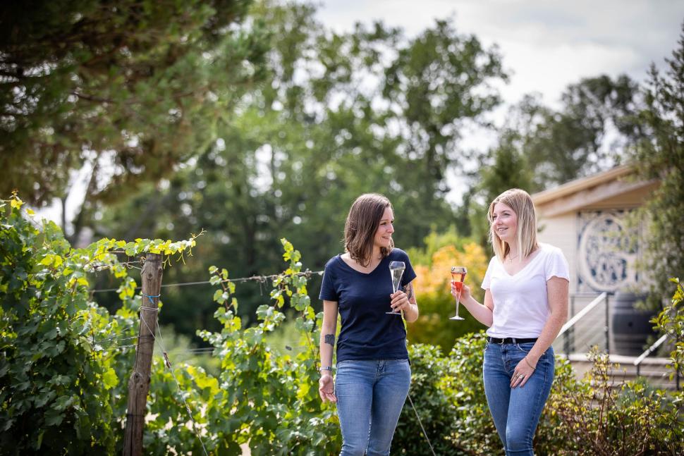 Dégustation de vins dans le vignoble