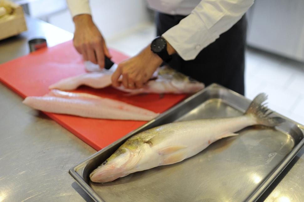 Préparation du Sandre de Loire