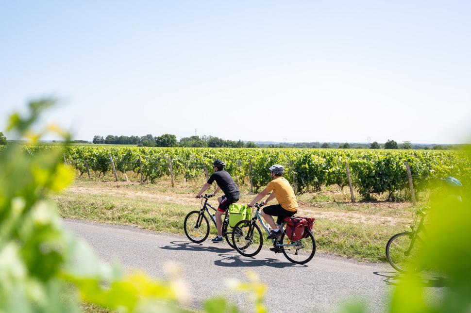 Cyclistes au coeur du vignoble - Montreuil-Bellay