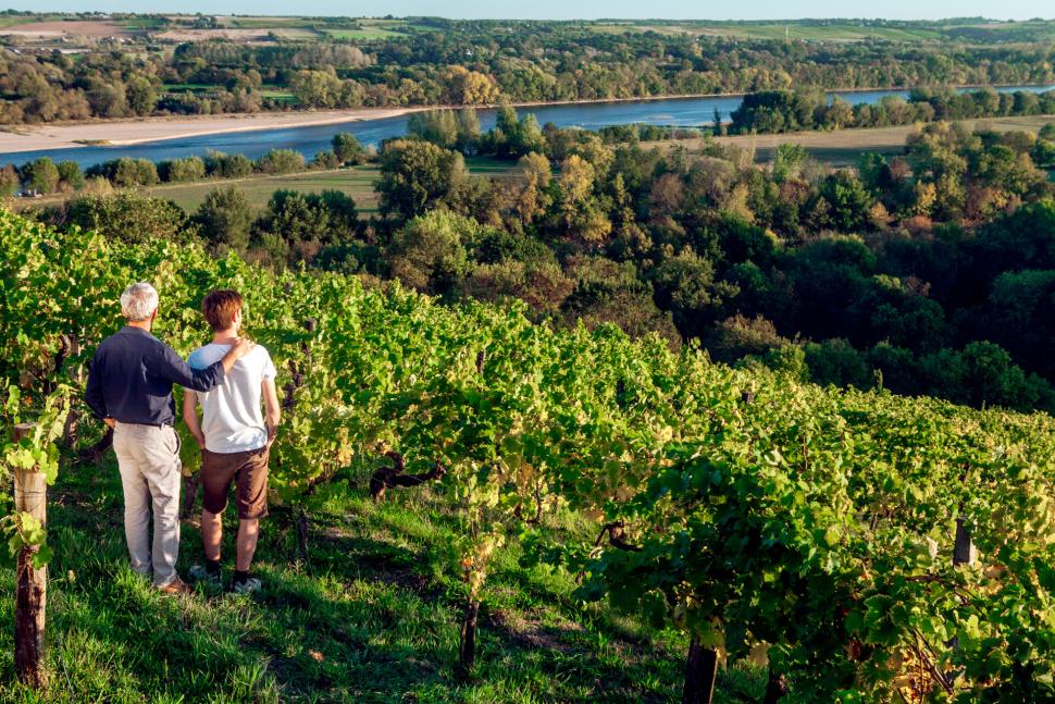 Randonneurs regardant la Loire depuis le vignoble de Savennières