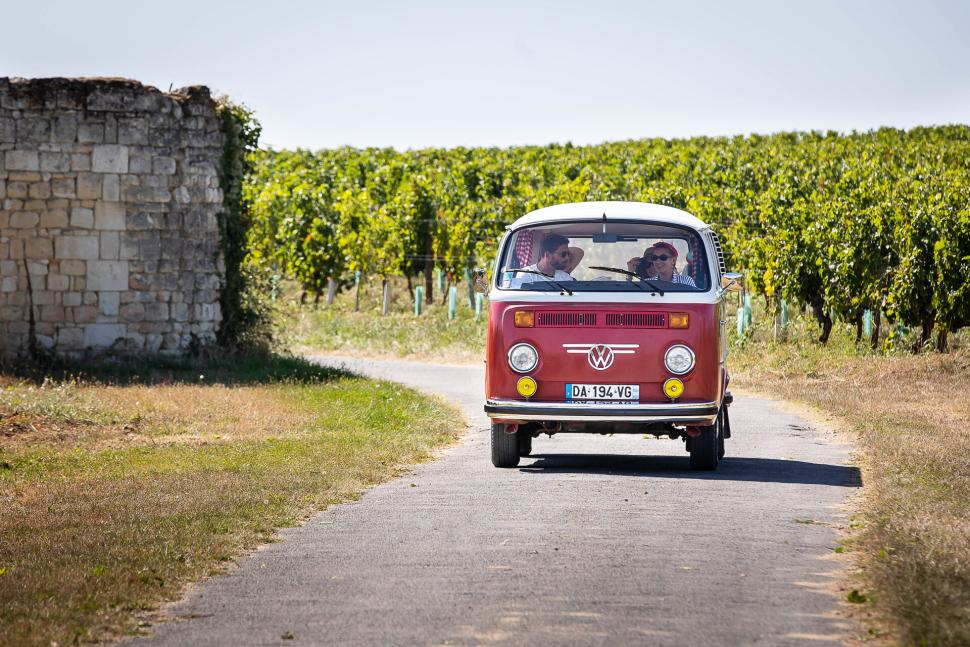Van roulant au coeur des vignes