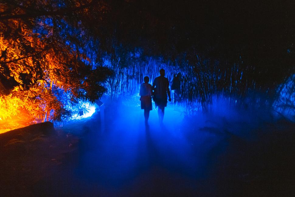 Photographie nocturne de terra nocta, des ombres avancent dans une halo lumineux bleu avec de la brume.