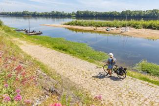 Personne à vélo le long de la Loire au Thoureil