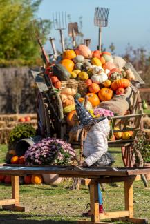 Une petite fille costumée avec un chapeau de sorcière et des bottes, devant une charette remplie de curcurbitacées blanches et oranges.