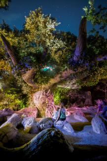 Sous un ciel étoilé, une femme et un enfant assis sur les racines d'un arbre géant, éclairé par des limières venues du sol.  