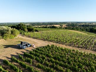 Van au milieu des coteaux de Savennières