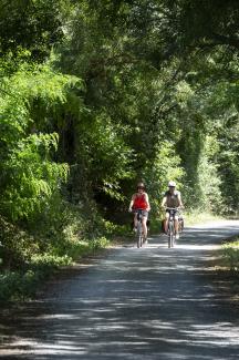 Cyclistes à Saint-Aubin-de-Luigné