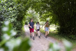 Randonneurs en forêt sur le GR3
