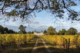 Château de Bois-Brinçon