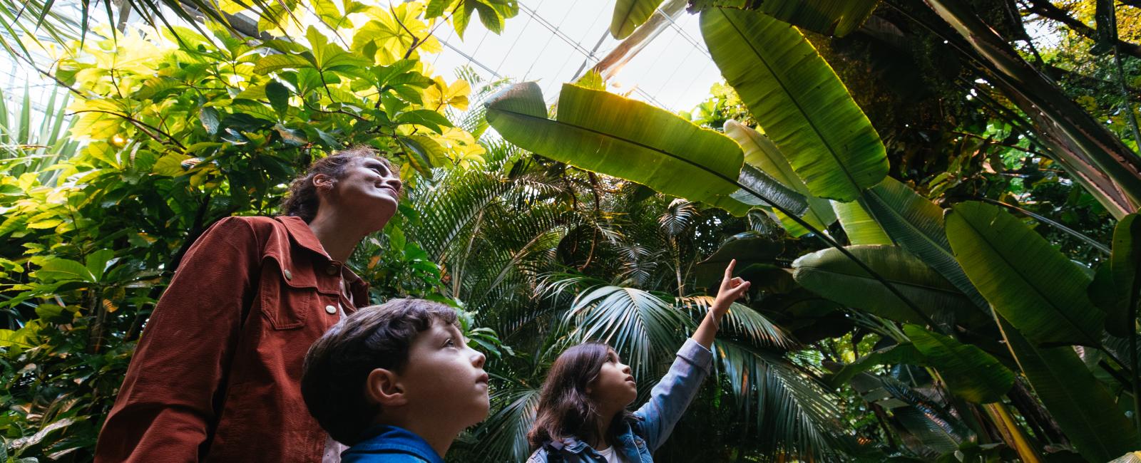 Terra Botanica Angers