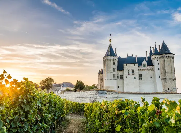Vue sur le château de Saumur