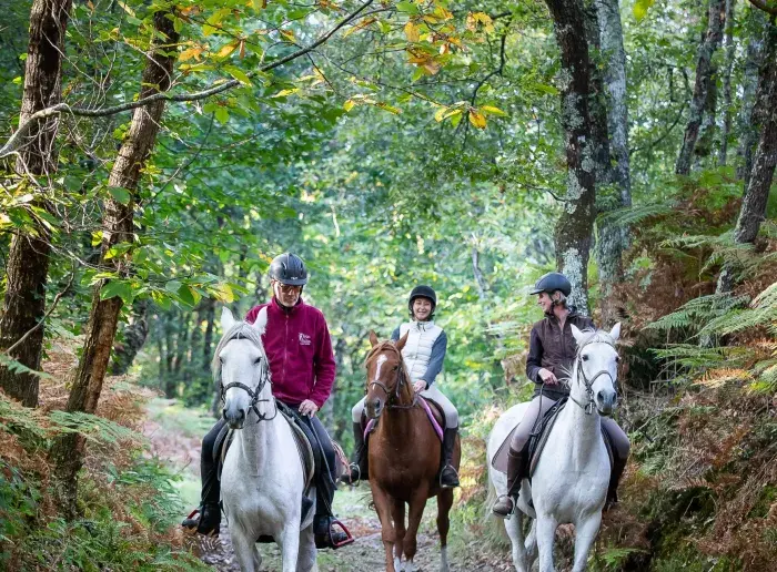 Trois cavaliers en balade dans la forêt de Chambiers