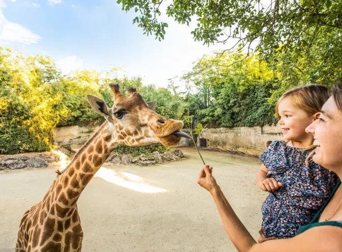 Le seul zoo troglo au monde !
