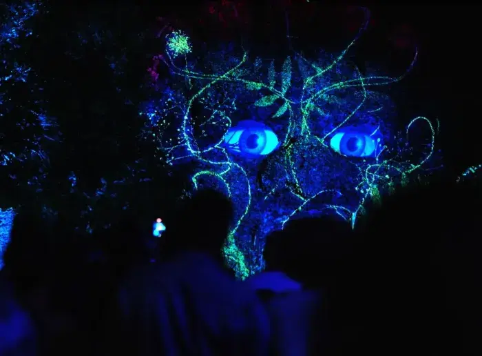 6 nocturnes incontournables de l’été