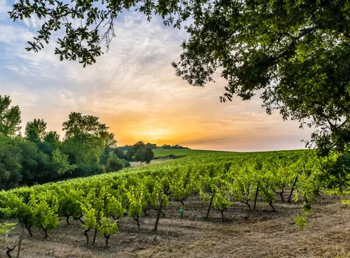 Où dormir, dans le vignoble