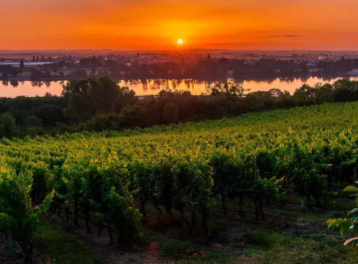 Coucher de soleil au Thoureil