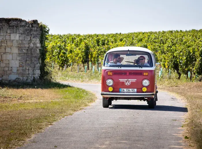 En van sur les routes des vins d'Anjou-Saumur : 5 jours
