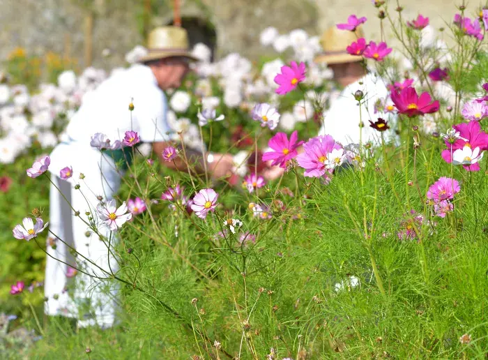 Idées week-ends, parcs et jardins