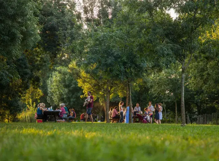 Aires de pique-nique